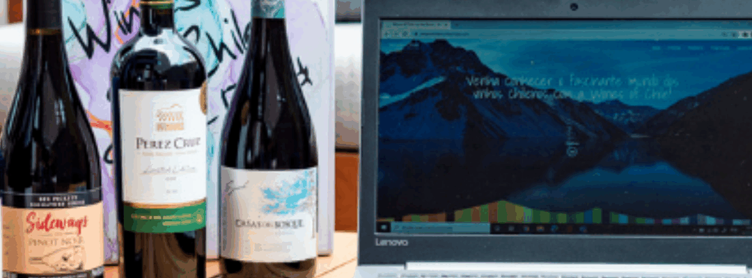 Wines of Chile – On the Road | Digital 2020